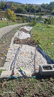 Click image for larger version

Name:	-Мулч.jpg
Views:	0
Size:	353,9 KB
ID:	2763328