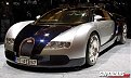 Click image for larger version

Name:	bugattii_976.jpg
Views:	4975
Size:	76,9 KB
ID:	2012748