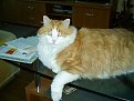 Click image for larger version

Name:	imag0027_985.jpg
Views:	1631
Size:	63,5 KB
ID:	2014909