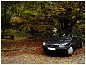 Click image for larger version

Name:	corsa_20autumn_165.jpg
Views:	1346
Size:	138,5 KB
ID:	2016468