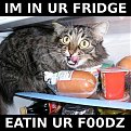 Click image for larger version

Name:	fridge_399.jpg
Views:	3096
Size:	50,1 KB
ID:	2016741