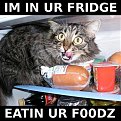 Click image for larger version

Name:	fridge_399.jpg
Views:	3043
Size:	50,1 KB
ID:	2016741