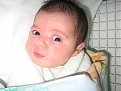 Click image for larger version

Name:	bebe_mira_008_358.jpg
Views:	1134
Size:	122,9 KB
ID:	2018495