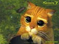 Click image for larger version

Name:	shrek_cat_th_921.jpg
Views:	1575
Size:	6,6 KB
ID:	2018876