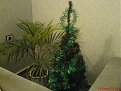 Click image for larger version

Name:	dsc00903_133.jpg
Views:	1532
Size:	55,1 KB
ID:	2018917
