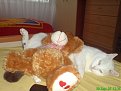 Click image for larger version

Name:	murfi_543.jpg
Views:	8043
Size:	146,3 KB
ID:	2020024