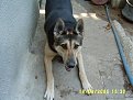 Click image for larger version

Name:	wow_072_resized_132.jpg
Views:	7978
Size:	77,3 KB
ID:	2020046