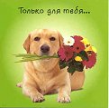 Click image for larger version

Name:	flowers_208.jpg
Views:	1496
Size:	16,2 KB
ID:	2020840
