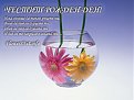 Click image for larger version

Name:	4rd_139.jpg
Views:	1925
Size:	27,5 KB
ID:	2021133