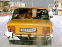 Click image for larger version

Name:	ukrainiancattlecar_195.jpg
Views:	2477
Size:	39,8 KB
ID:	2022071