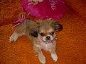 Click image for larger version

Name:	dscn0103_133.jpg
Views:	3479
Size:	248,9 KB
ID:	2022211