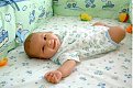 Click image for larger version

Name:	untitled_185.jpg
Views:	1272
Size:	13,8 KB
ID:	2022261
