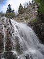 Click image for larger version

Name:	img_5167_1_180.jpg
Views:	1740
Size:	88,2 KB
ID:	2022445
