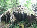 Click image for larger version

Name:	img_1511_205.jpg
Views:	6690
Size:	261,6 KB
ID:	2023969