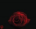 Click image for larger version

Name:	tn_desktop_rose_1280_1024_137.jpg
Views:	749
Size:	103,6 KB
ID:	2024370