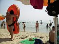 Click image for larger version

Name:	pict0426_256.jpg
Views:	1047
Size:	152,6 KB
ID:	2024826