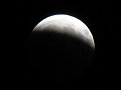 Click image for larger version

Name:	moon_covered_121.jpg
Views:	1139
Size:	14,5 KB
ID:	2024858