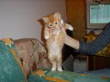 Click image for larger version

Name:	004_133.jpg
Views:	877
Size:	327,0 KB
ID:	2025710