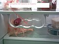 Click image for larger version

Name:	20122008004_168.jpg
Views:	3167
Size:	52,9 KB
ID:	2028024