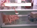 Click image for larger version

Name:	20122008003_224.jpg
Views:	3173
Size:	53,0 KB
ID:	2028025