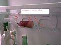 Click image for larger version

Name:	20122008002_843.jpg
Views:	3173
Size:	52,2 KB
ID:	2028026