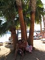 Click image for larger version

Name:	img_0545_198.jpg
Views:	3666
Size:	241,2 KB
ID:	2028206