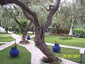Click image for larger version

Name:	dsc00126_183.jpg
Views:	3093
Size:	134,7 KB
ID:	2028330