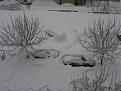 Click image for larger version

Name:	pict0257_800x600_460.jpg
Views:	698
Size:	71,6 KB
ID:	2029740