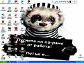 Click image for larger version

Name:	petak2_178.jpg
Views:	827
Size:	30,6 KB
ID:	2033027