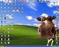 Click image for larger version

Name:	mini_screenhunter_1bmp_802.jpg
Views:	794
Size:	133,3 KB
ID:	2033062
