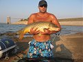 Click image for larger version

Name:	carp12_011_147.jpg
Views:	676
Size:	180,3 KB
ID:	2037164