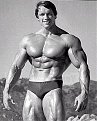 Click image for larger version

Name:	arnold_190.jpg
Views:	741
Size:	26,8 KB
ID:	2041052