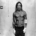Click image for larger version

Name:	iggypop1_117.jpg
Views:	602
Size:	175,2 KB
ID:	2041064