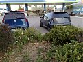 Click image for larger version

Name:	12062010716111_202.jpg
Views:	2389
Size:	267,3 KB
ID:	2046922