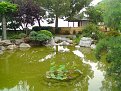 Click image for larger version

Name:	dsc03423_164.jpg
Views:	1832
Size:	223,0 KB
ID:	2049156