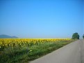 Click image for larger version

Name:	bg2010_384_medium_294.jpg
Views:	1087
Size:	56,0 KB
ID:	2049366