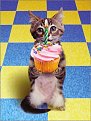 Click image for larger version

Name:	birthday_cat_939.jpg
Views:	1588
Size:	26,1 KB
ID:	2049459