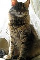 Click image for larger version

Name:	img_0164_137.jpg
Views:	2954
Size:	49,3 KB
ID:	2052402