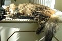 Click image for larger version

Name:	img_0129_120.jpg
Views:	2947
Size:	129,0 KB
ID:	2052403