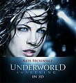 Click image for larger version

Name:	underworld_154.jpg
Views:	1811
Size:	30,8 KB
ID:	2062761