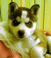 Click image for larger version

Name:	dsc02960_373.jpg
Views:	4042
Size:	108,6 KB
ID:	2065060