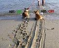 Click image for larger version

Name:	abs_off_on_574.jpg
Views:	2067
Size:	74,7 KB
ID:	2065561
