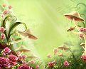 Click image for larger version

Name:	rose_690.jpg
Views:	909
Size:	104,1 KB
ID:	2065738