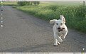 Click image for larger version

Name:	desktop_183.jpg
Views:	1368
Size:	59,8 KB
ID:	2065739