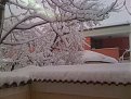 Click image for larger version

Name:	img_0573_800_698.jpg
Views:	2098
Size:	49,1 KB
ID:	2065753