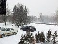 Click image for larger version

Name:	20120205_intriga_168.jpg
Views:	2442
Size:	142,2 KB
ID:	2066009