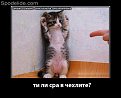 Click image for larger version

Name:	739190013390962_181.jpg
Views:	3864
Size:	111,1 KB
ID:	2070303