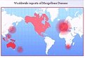 Click image for larger version

Name:	chemtrail_morgellons_map_small_148.jpg
Views:	1290
Size:	25,5 KB
ID:	2073157