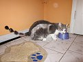 Click image for larger version

Name:	img_6404_203.jpg
Views:	2746
Size:	176,2 KB
ID:	2077486