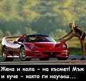 Click image for larger version

Name:	photo_169.jpg
Views:	1944
Size:	86,9 KB
ID:	2081577